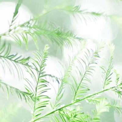 青龙极无双手游下载